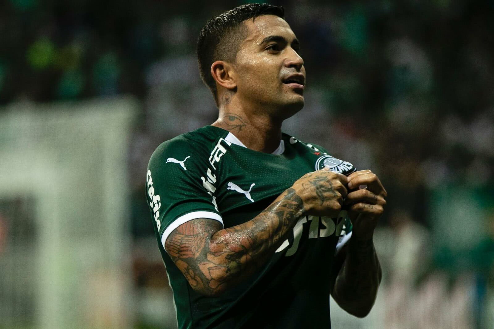 Palmeiras Tem Divergência Importante Em Renovação Com Dudu