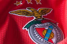 Benfica pode sonhar com uma vaga na próxima fase da Champions league