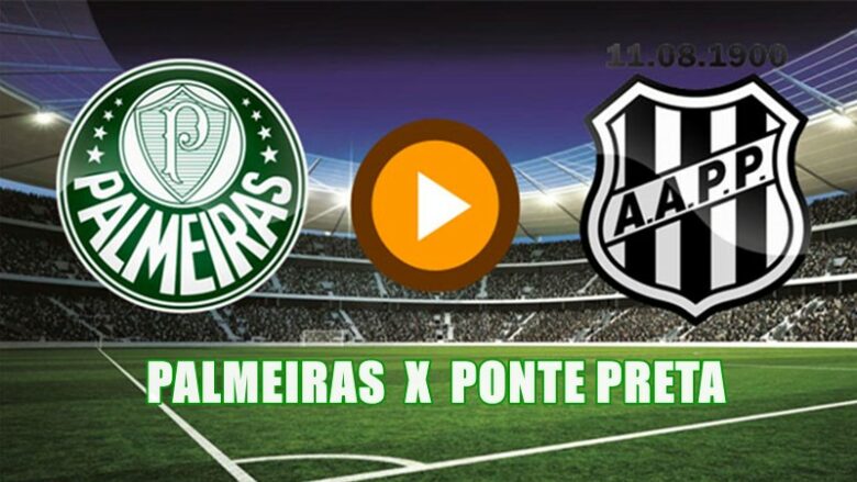 Palmeiras X Ponte Preta Ao Vivo Onde Assistir Online E Pela Tv Ao Jogo