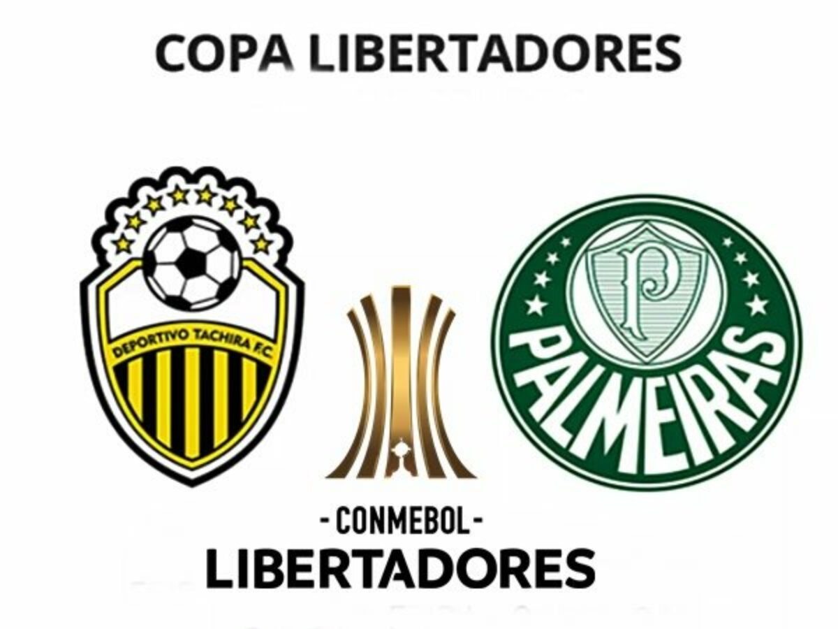 assistir palmeiras ao vivo on line