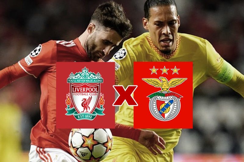 Onde assistir Liverpool x Benfica ao vivo online e na TV pela Champions League - Imagem - Divulgação