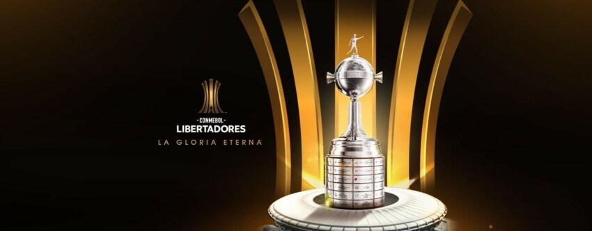 Ao todo, são 32 clubes disputando 16 vagas para as oitavas de final da Libertadores da América.