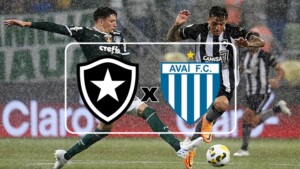 Botafogo x Avaí ao vivo: onde assistir onine e na Tv ao jogo do Campeonato Brasileiro