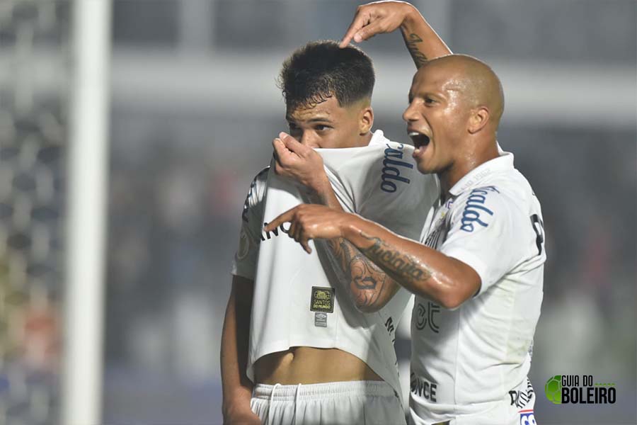 Gols e melhores momentos de Santos 2 x 0 Botafogo pelo Campeonato Brasileiro. (Foto: Reprodução)