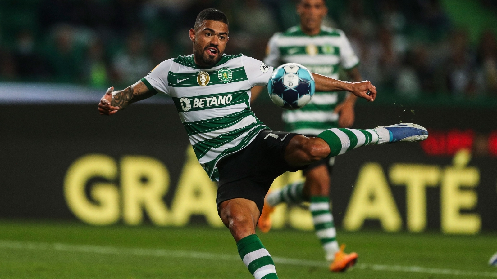 Palmeiras: Bruno Tabata teve atitude incomum para jogar com Abel Ferreira