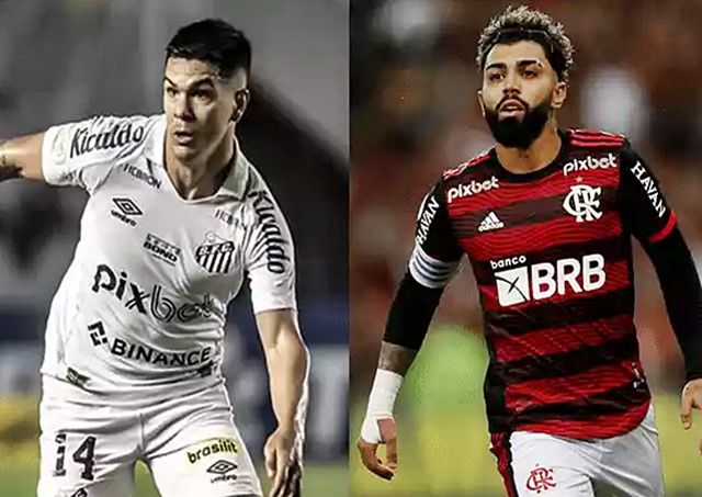 Assistir jogo do Flamengo x Santos ao vivo na TV online - CenárioMT