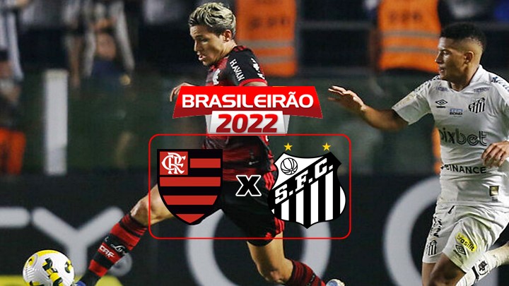 Flamengo x Santos ao vivo: assista online e na Tv ao  jogo do Brasileirão