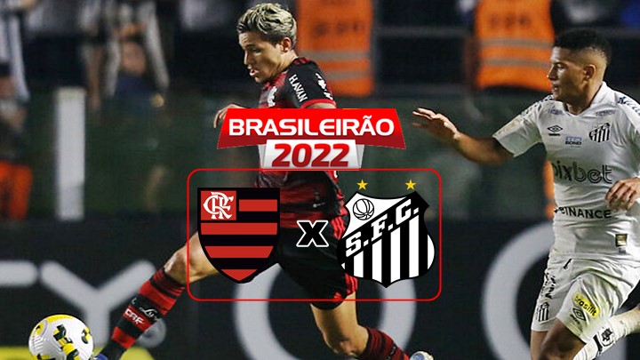 Flamengo x Santos, AO VIVO, Campeonato Brasileiro 2020