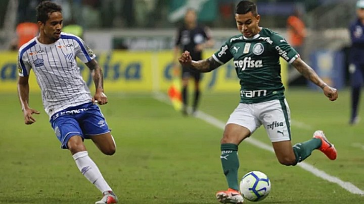 Palmeiras x Avaí ao vivo: onde assistir online ao jogo do Brasileirão e na TV