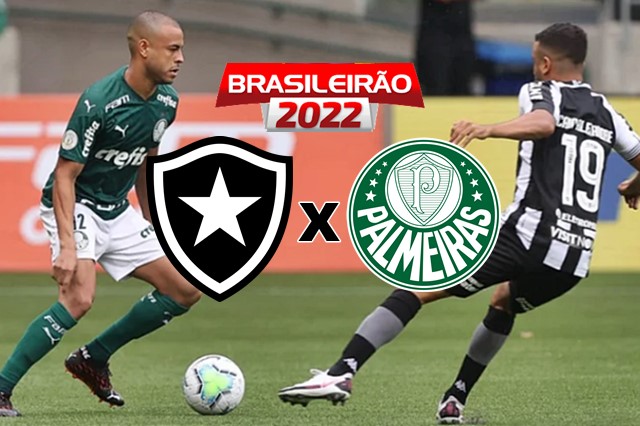 Onde assistir Palmeiras e Botofogo ao vivo e online pelo Campeonato Brasileiro