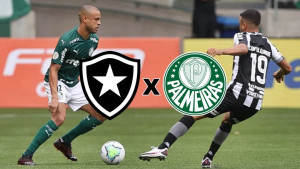 Botafogo x Palmeiras ao vivo: como assistir online ao jogo do Campeonato Brasileiro