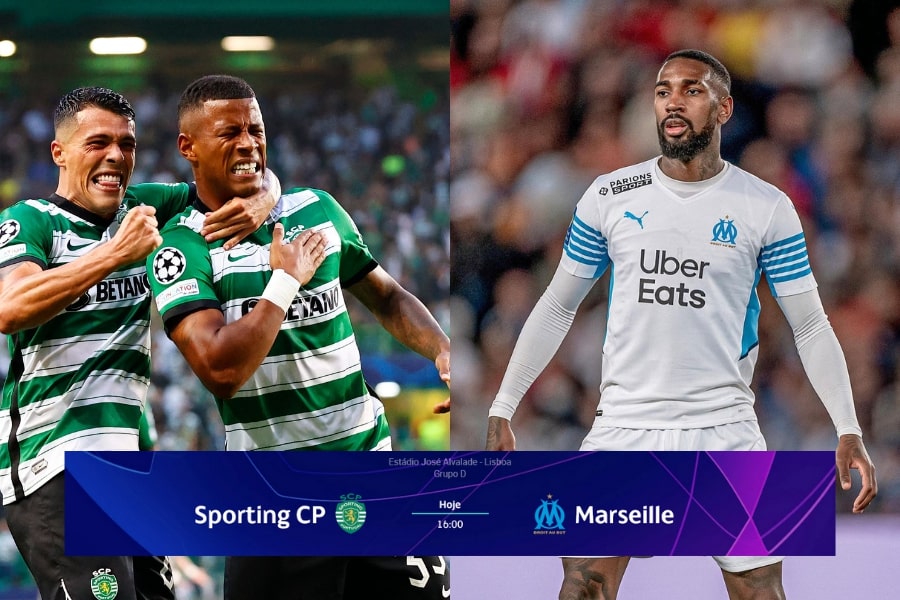 Sporting x Marselha ao vivo: Assistir na TV e online jogo da Liga dos Campeões