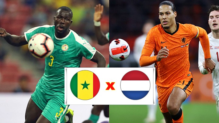 Senegal x Holanda ao vivo: como assistir online de graça ao jogo da Copa do Mundo 2022