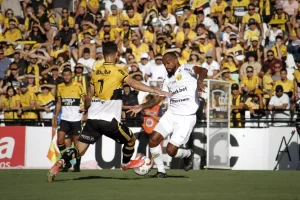 Brusque x Criciúma Ao Vivo: onde assistir final do Campeonato Catarinense na TV e online