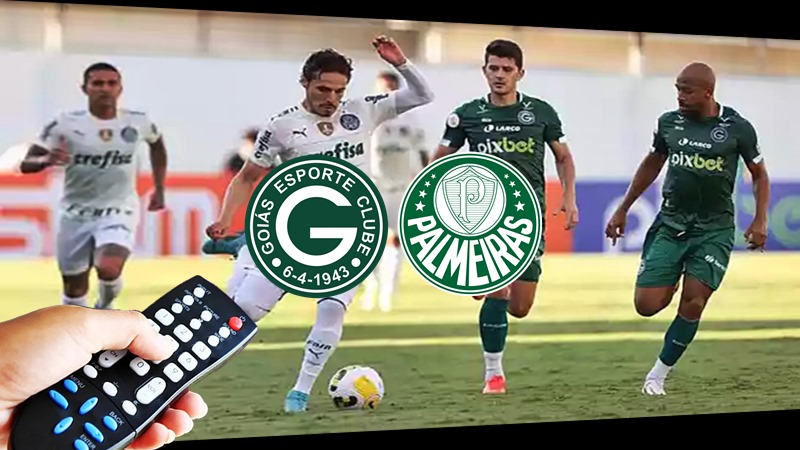 Transmissão de Goiás x Palmeiras ao vivo: como asssitir online e em qual canal vai passar o jogo do Brasileirão?