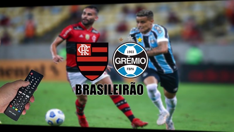 Assistir Grêmio x Flamengo ao vivo online 25/10/2023 ⋆