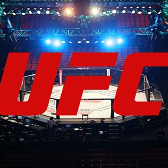 UFC Fight Night VEGAS 74 ao vivo neste sábado