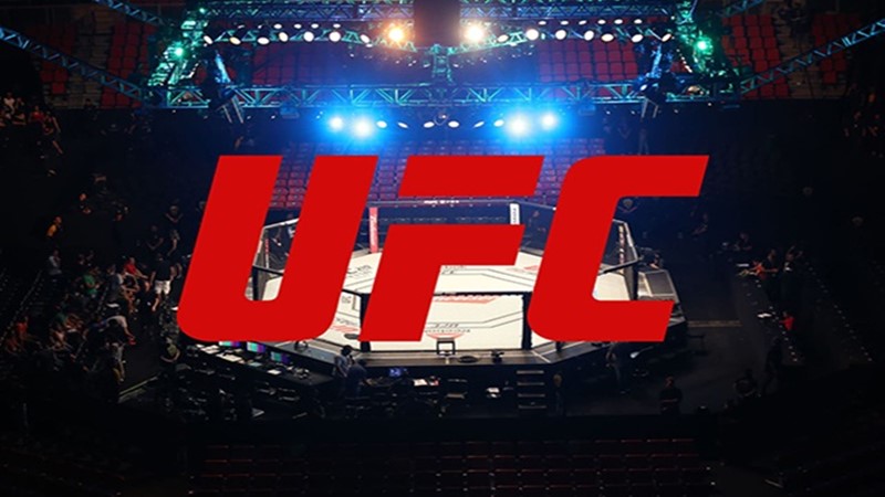 UFC AO VIVO: como assistir online DE GRAÇA as lutas do brasieliros no UFC Vegas 74 neste sábado (03)
