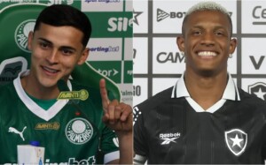 Palmeiras vence Botafogo na Marra e sobe na tabela do Brasileirão