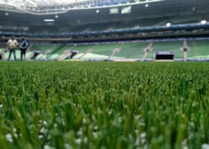 “Campo de plástico”? Palmeiras, Botafogo e mais 3 clubes rebatem Flamengo em “guerra” pelos gramados