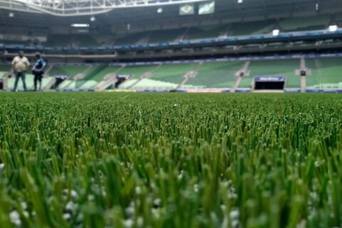 “Campo de plástico”? Palmeiras, Botafogo e mais 3 clubes rebatem Flamengo em “guerra” pelos gramados